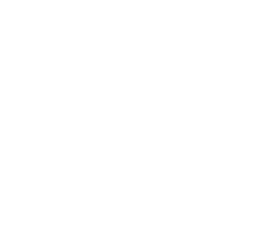 Logo Davide Fregonese